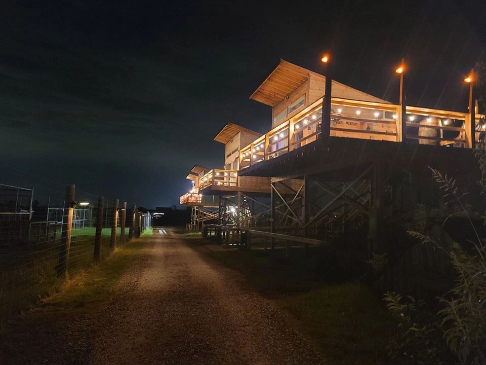 Tiger Overlook Treehouse 4 - "Colorado"